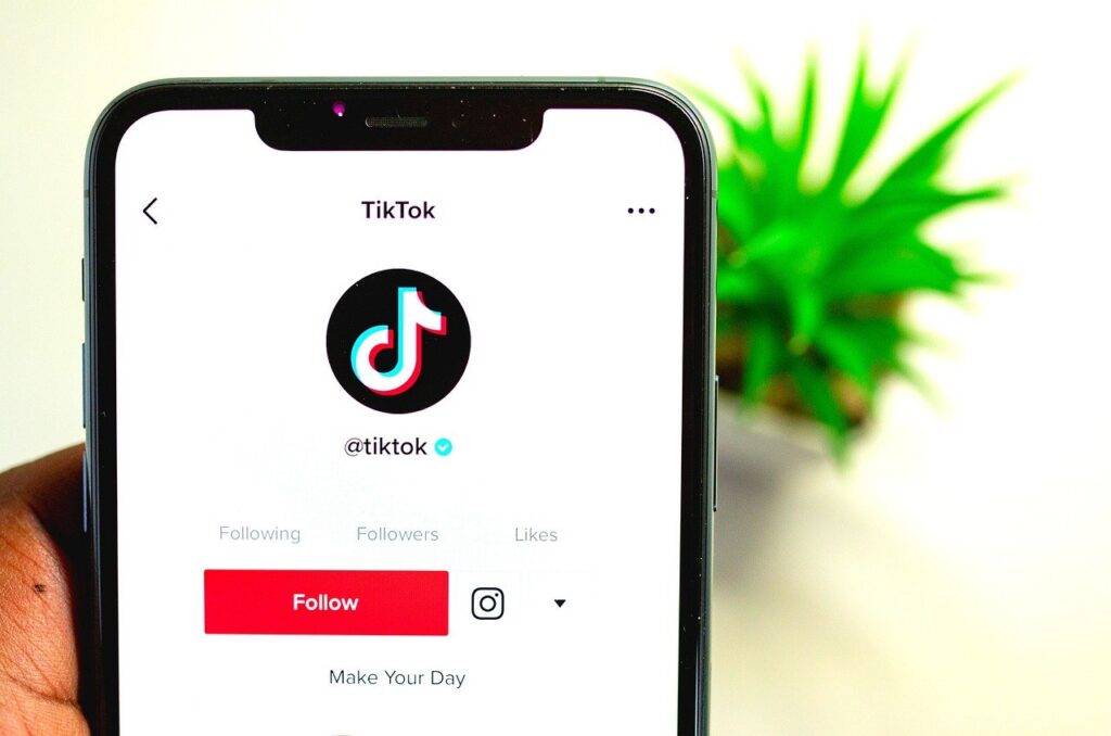 Cómo recuperar un perfil de TikTok desactivado